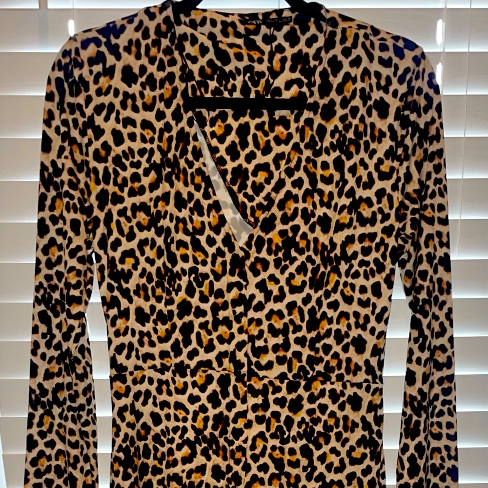 Zara New Long Sleeve Leopard Print Dress